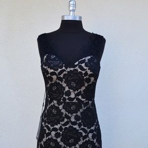 Black and Tan Lace Dress